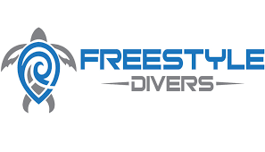 freestyle divers